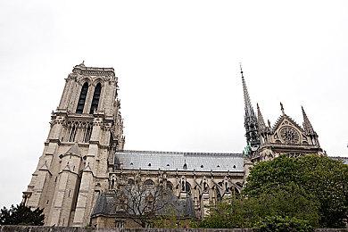 三上真司领衔制作萌系双六手游《Hero Dice》今年春季发布